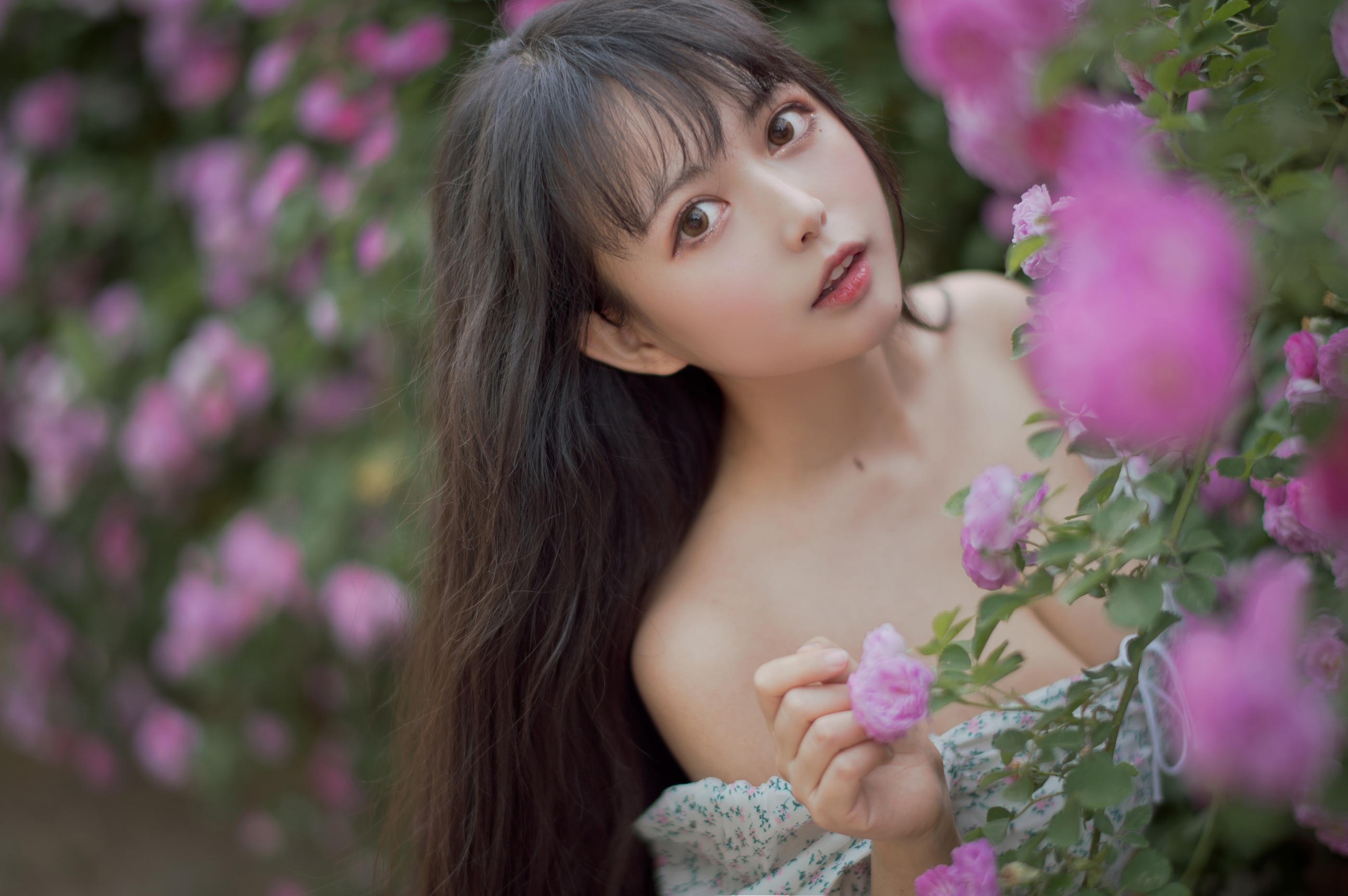 图片[1]-喵糖映画 VOL.338 [24P]-XikXak